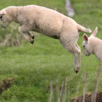 Spring is in the air....